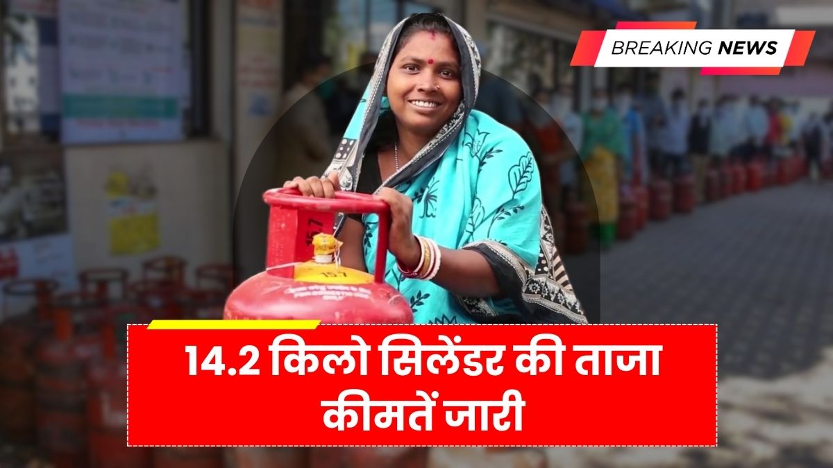 LPG Cylinder Price